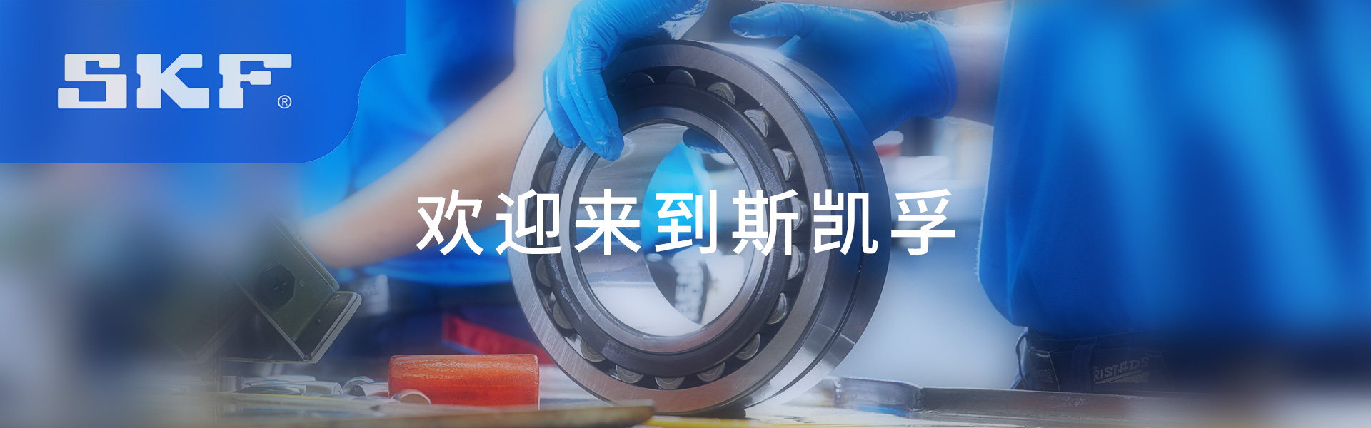 上海嘉盛轴承有限公司